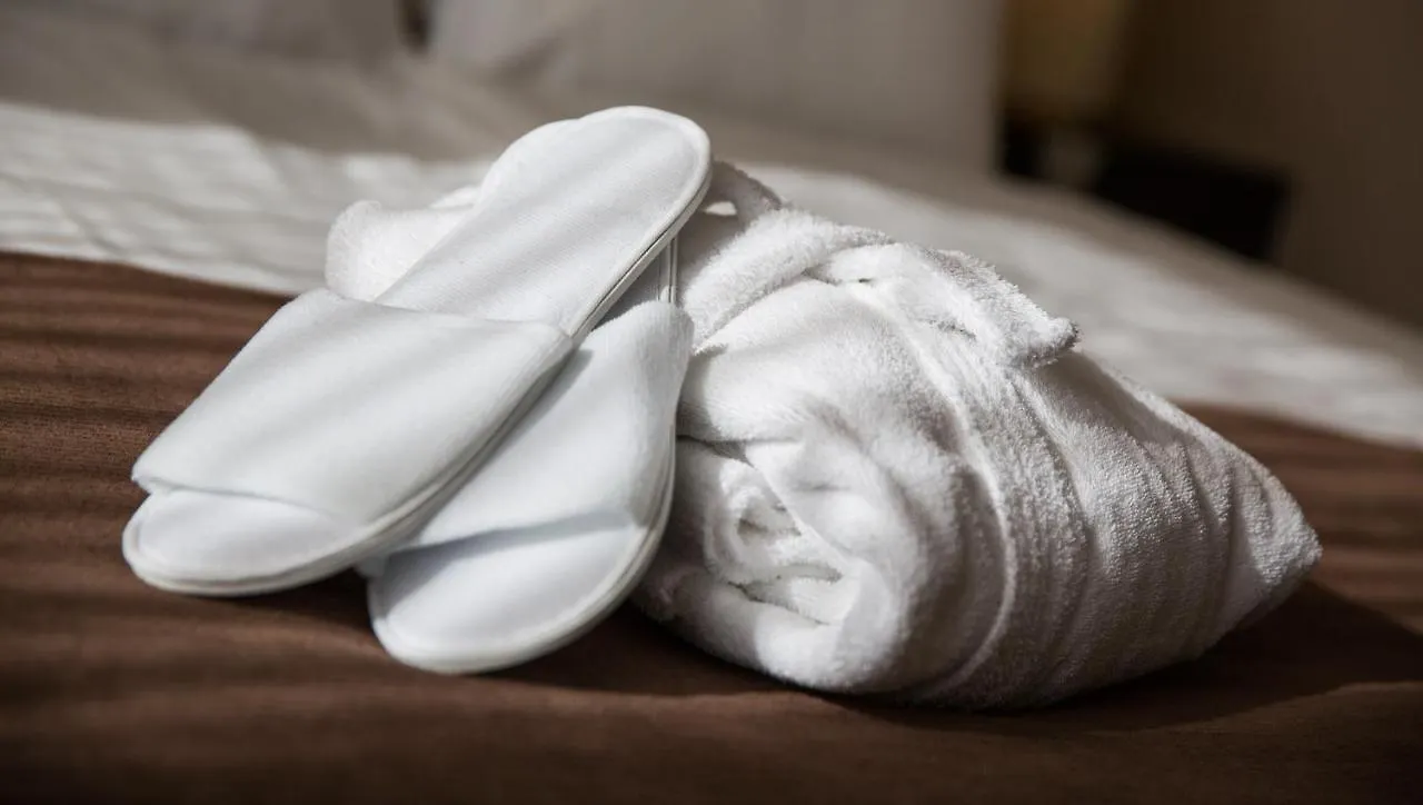 ****  Hotel Belair Wallisellen Switzerland
